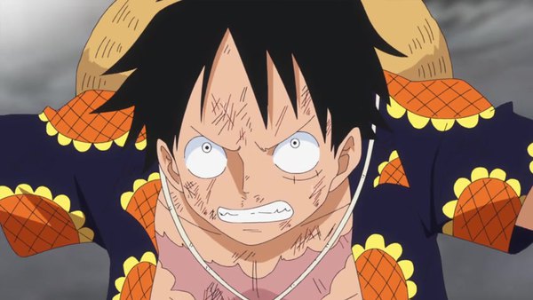 One Piece Episode 733 - Watch One Piece E733 Online