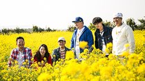 2 Days & 1 Night - Episode 119 - Spring Field Trip (2)