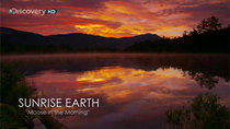 Sunrise Earth - Episode 1 - Moose in the Morning