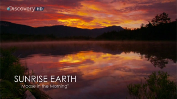 Sunrise Earth - S01E01 - Moose in the Morning