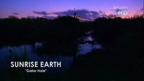 Sunrise Earth - Episode 3 - Gator Hole