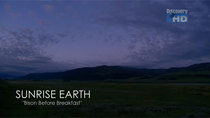 Sunrise Earth - Episode 4 - Bison Before Breakfast
