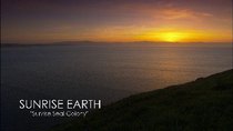 Sunrise Earth - Episode 13 - Sunrise Seal Colony