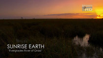 Sunrise Earth - Episode 16 - Everglades River of Grass