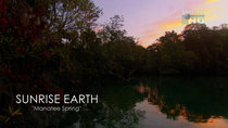 Sunrise Earth - Episode 22 - Manatee Spring