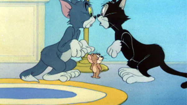 where can i watch tom and jerry episodes