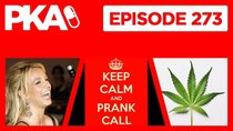 Painkiller Already - Episode 11 - PKA 273 — Prank Call, Kyle's Dad Pranks, Marijuana Controversy