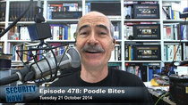Security Now - Episode 478 - Poodle Bites