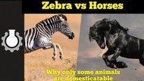 CGP Grey - Episode 1 - Zebra vs Horses: Animal Domestication