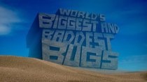 Animal Planet Documentaries - Episode 4 - The World's Biggest and Baddest Bugs