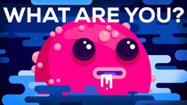 Kurzgesagt – In a Nutshell - Episode 7 - What Are You?