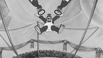 Looney Tunes - Episode 20 - Buddy's Circus