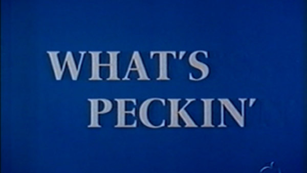 The Woody Woodpecker Show - S1965E07 - What's Peckin'