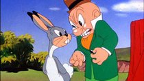 Looney Tunes - Episode 7 - Elmer's Candid Camera