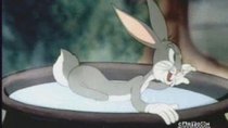 Looney Tunes - Episode 19 - Hiawatha's Rabbit Hunt