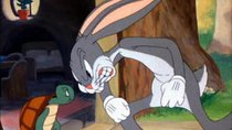 Looney Tunes - Episode 9 - Tortoise Beats Hare