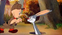 Looney Tunes - Episode 35 - The Hare-Brained Hypnotist