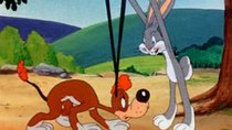 Looney Tunes - Episode 15 - Hare Ribbin'