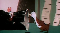 Looney Tunes - Episode 4 - Quentin Quail