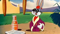 Looney Tunes - Episode 5 - A Hare Grows in Manhattan