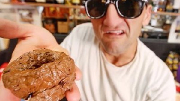 Casey Neistat Vlog - S2016E195 - here's what happened with our dog