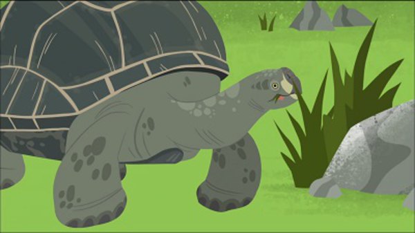 Wild Kratts Season 4 Episode 19