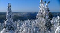 Wild Russia - Episode 6 - Primeval Valleys