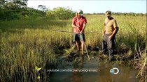 Dual Survival Brazil - Episode 5 - Mired in Mud