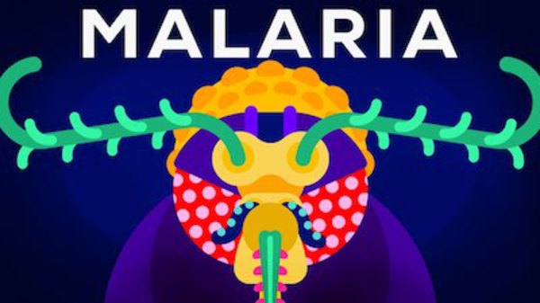 Kurzgesagt – In a Nutshell - S2016E11 - Genetic Engineering and Diseases — Gene Drive & Malaria