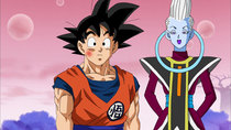 Dragon Ball Super - Episode 55 - I Want to See Son Goku: Zen-Oh Sama's Summoning!