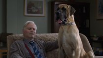Still Game - Episode 5 - Heavy Petting