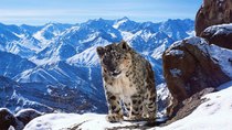 Planet Earth II - Episode 2 - Mountains