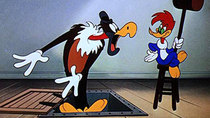 The Woody Woodpecker Show - Episode 4 - Wet Blanket Policy