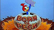 The Woody Woodpecker Show - Episode 1 - Born to Peck