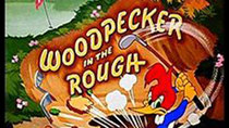 The Woody Woodpecker Show - Episode 3 - Woodpecker in the Rough