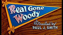 The Woody Woodpecker Show - Episode 5 - Real Gone Woody