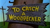 The Woody Woodpecker Show - Episode 5 - To Catch a Woodpecker