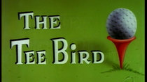 The Woody Woodpecker Show - Episode 5 - The Tee Bird