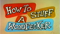 The Woody Woodpecker Show - Episode 5 - How to Stuff a Woodpecker