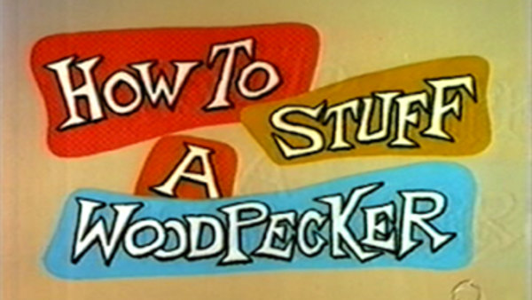 The Woody Woodpecker Show - S1960E05 - How to Stuff a Woodpecker