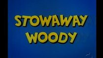 The Woody Woodpecker Show - Episode 3 - Stowaway Woody