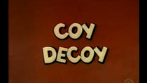The Woody Woodpecker Show - Episode 5 - Coy Decoy