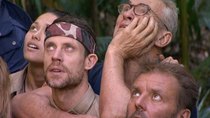 I'm a Celebrity... Get Me Out of Here! - Episode 17 - Wicked Windmill