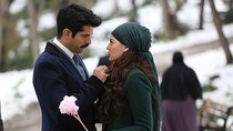 Çalıkuşu - Episode 13