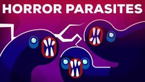 Kurzgesagt – In a Nutshell - Episode 14 - The Most Gruesome Parasites — Neglected Tropical Diseases (NTDs)