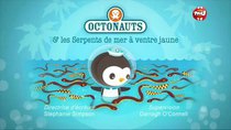 Octonauts - Episode 18 - The Yellow-Bellied Sea Snakes