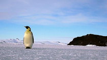 Continent 7: Antarctica - Episode 6 - Race to Escape