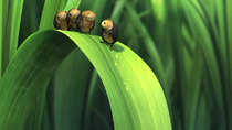 Disney Fairies - Episode 14 - Beetle Jam