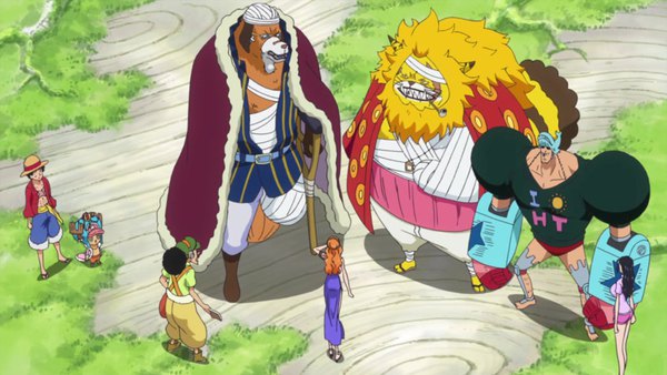 One Piece Episode 772 info and links where to watch
