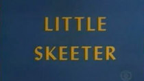 The Woody Woodpecker Show - Episode 2 - Little Skeeter